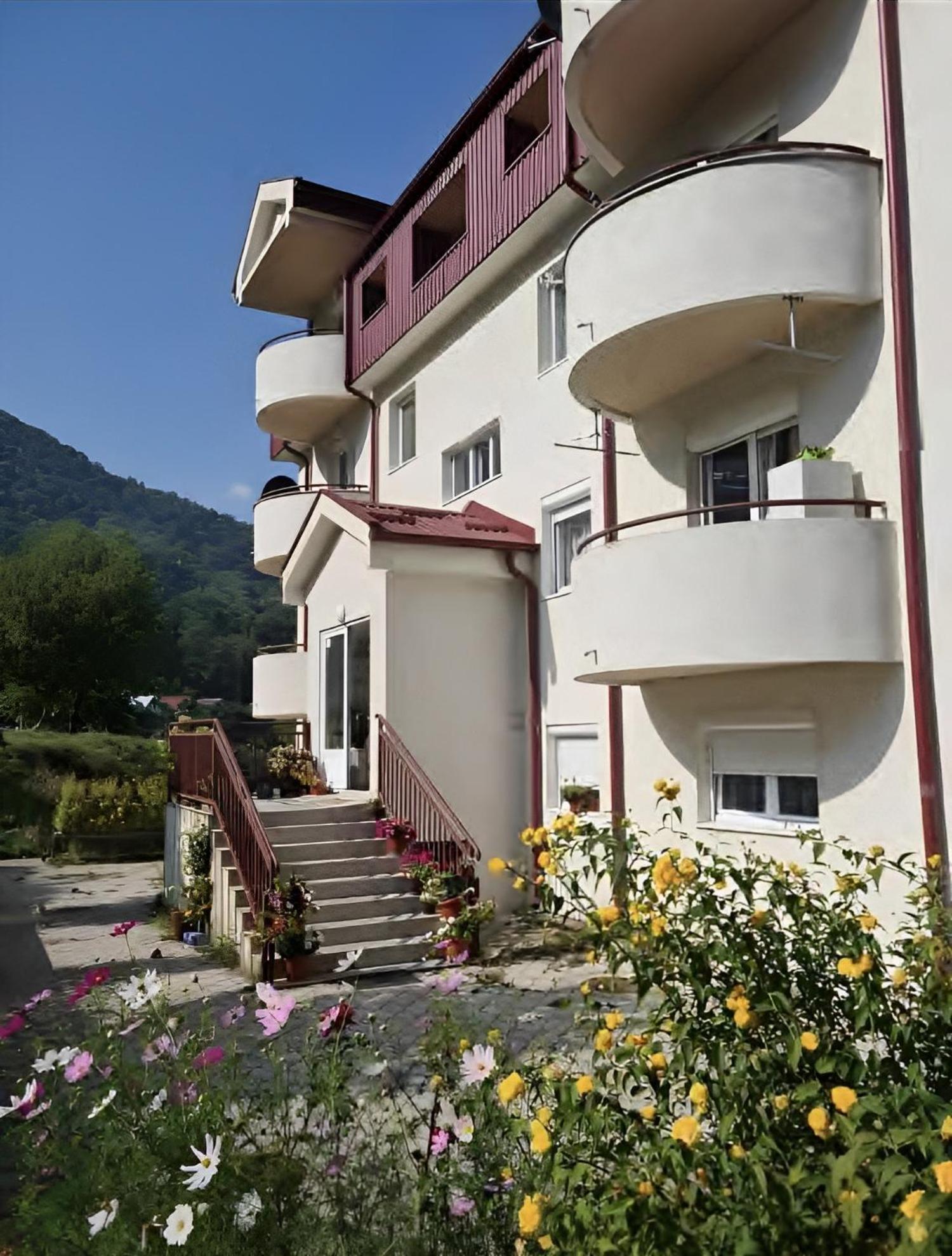 Zora Apartment Plužine Eksteriør bilde